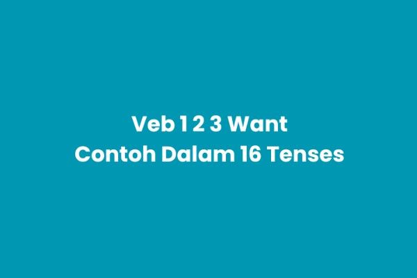 Verb 1, 2, 3 want & Pemakaian dalam 16 Tense Bahasa Inggris Wanted