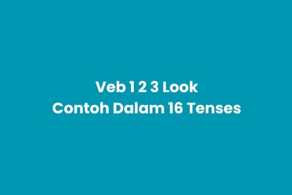 Verb 1, 2, 3 Look & Pemakaian dalam 16 Tense Bahasa Inggris